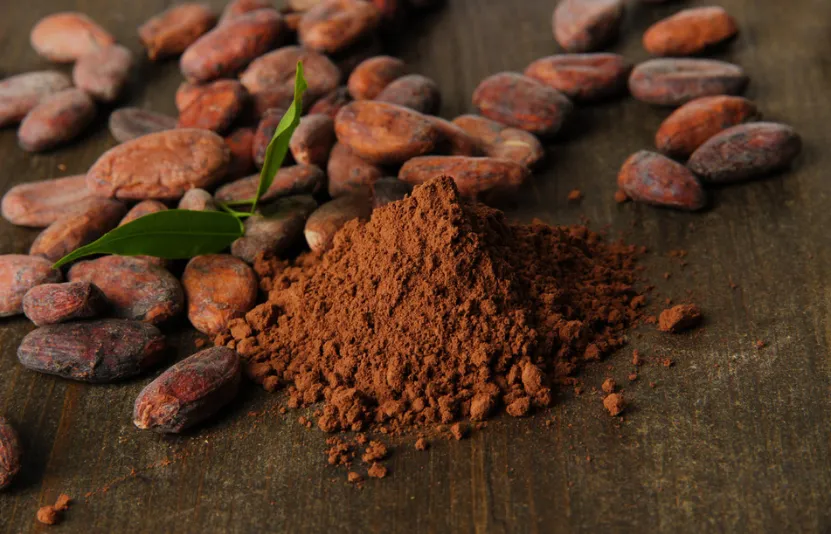 gi&aacute; ca cao dự b&aacute;o giảm khi thặng dư to&agrave;n cầu gia tăng